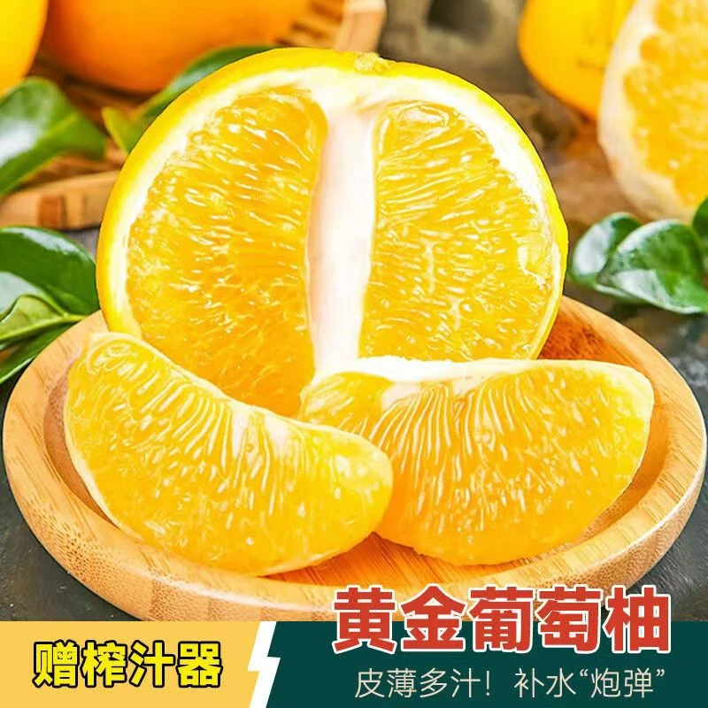 p【送榨汁器】黄金葡萄柚当季新鲜4-8个送榨汁器薄皮多汁带箱5斤