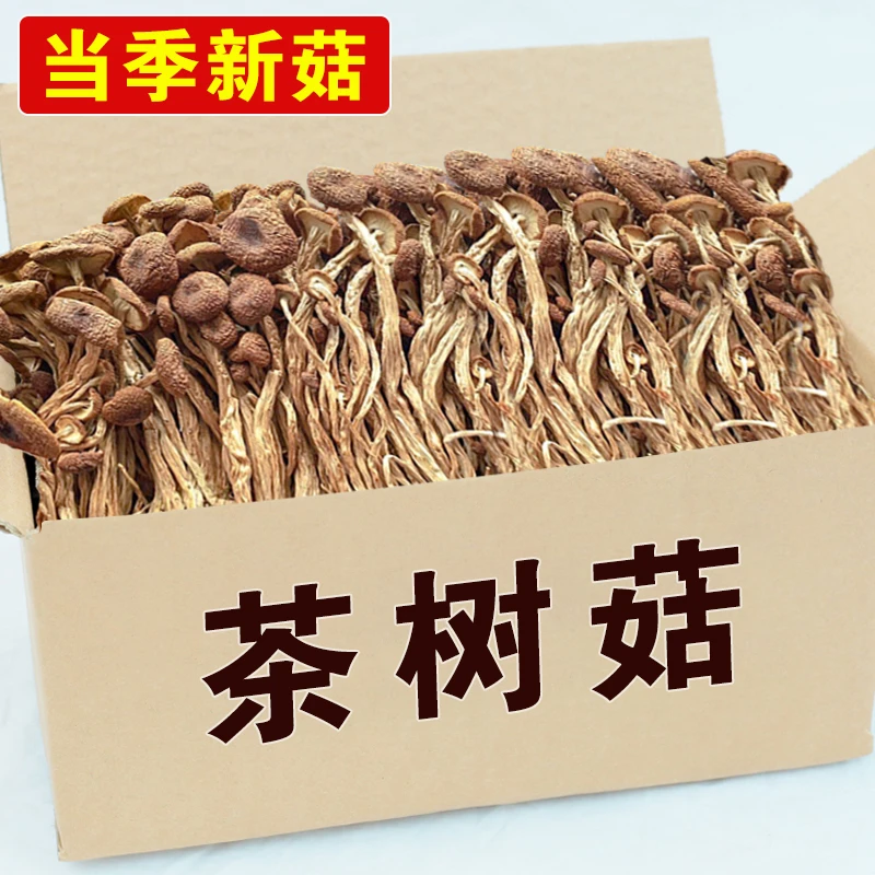 吉美味茶树菇古田特产干货不开伞茶树菇茶薪菇家用餐饮煲汤美食