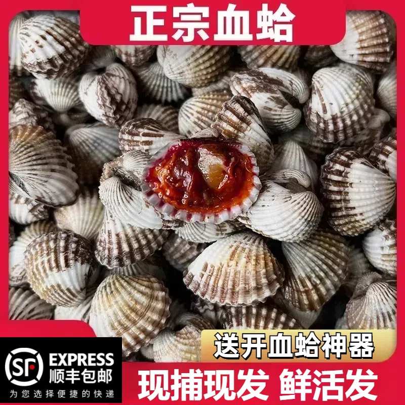 【顺丰包邮】血蛤鲜活新鲜毛蛤血蚶蛤蜊可生腌现挖现发海鲜鲜活贝类
