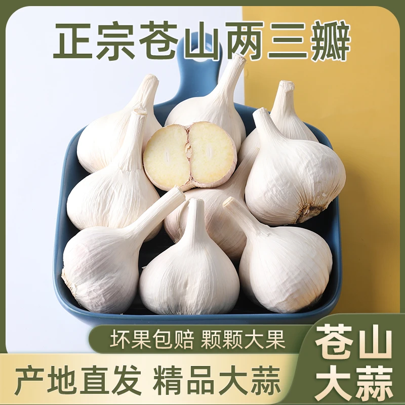 2025新干蒜苍山两三瓣大蒜产地1斤3斤老品种蒜香味浓精品新鲜大蒜
