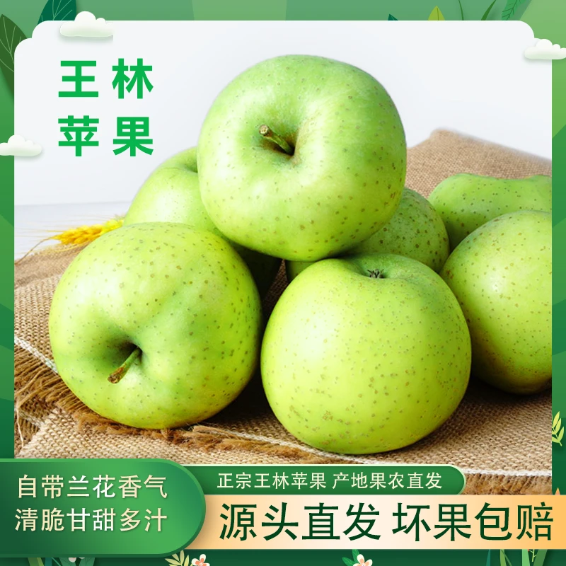 雀斑王林苹果王林苹果纯甜无酸4-9斤新鲜