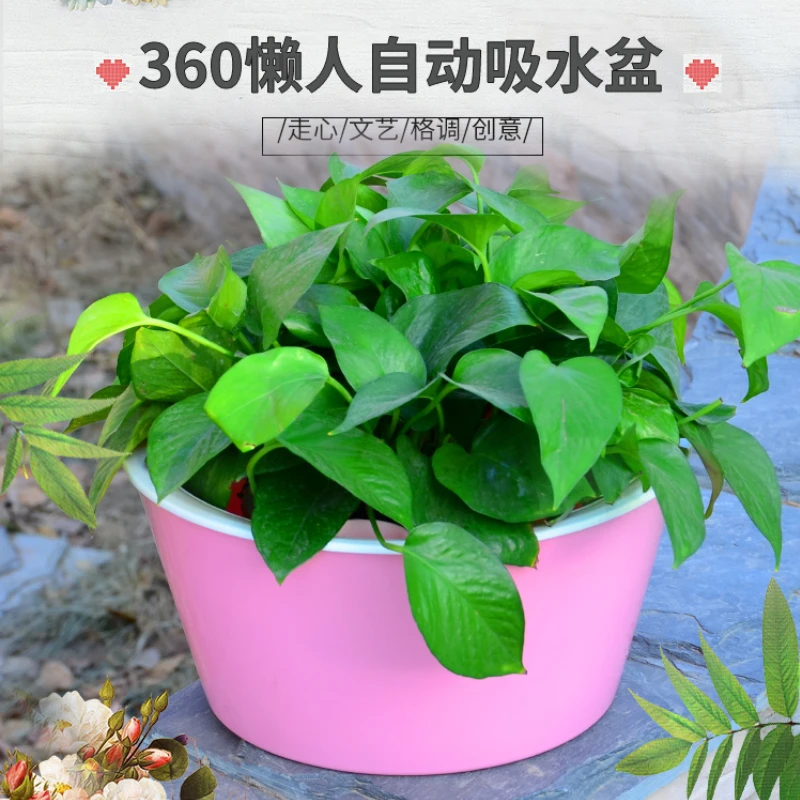 绿萝花盆吸水盆白色懒人花盆360绿萝盆栽室内塑料花盆大号吊兰盆