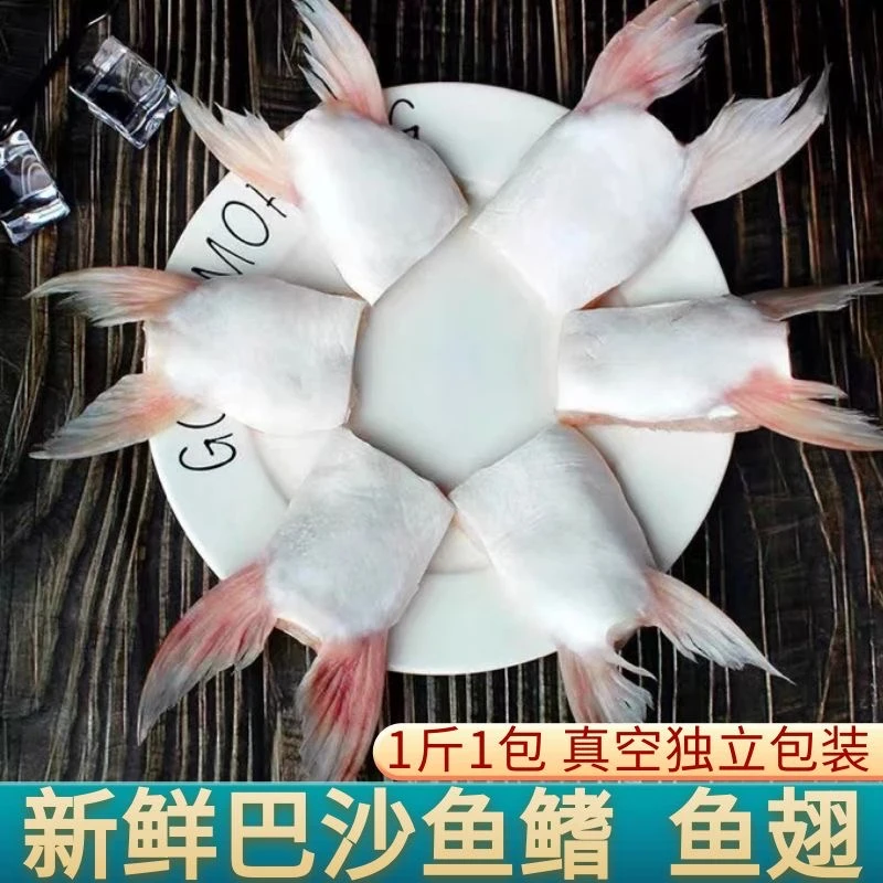 连云港发货 新鲜现切巴沙鱼翅 大个巴沙鱼鳍 1斤/包