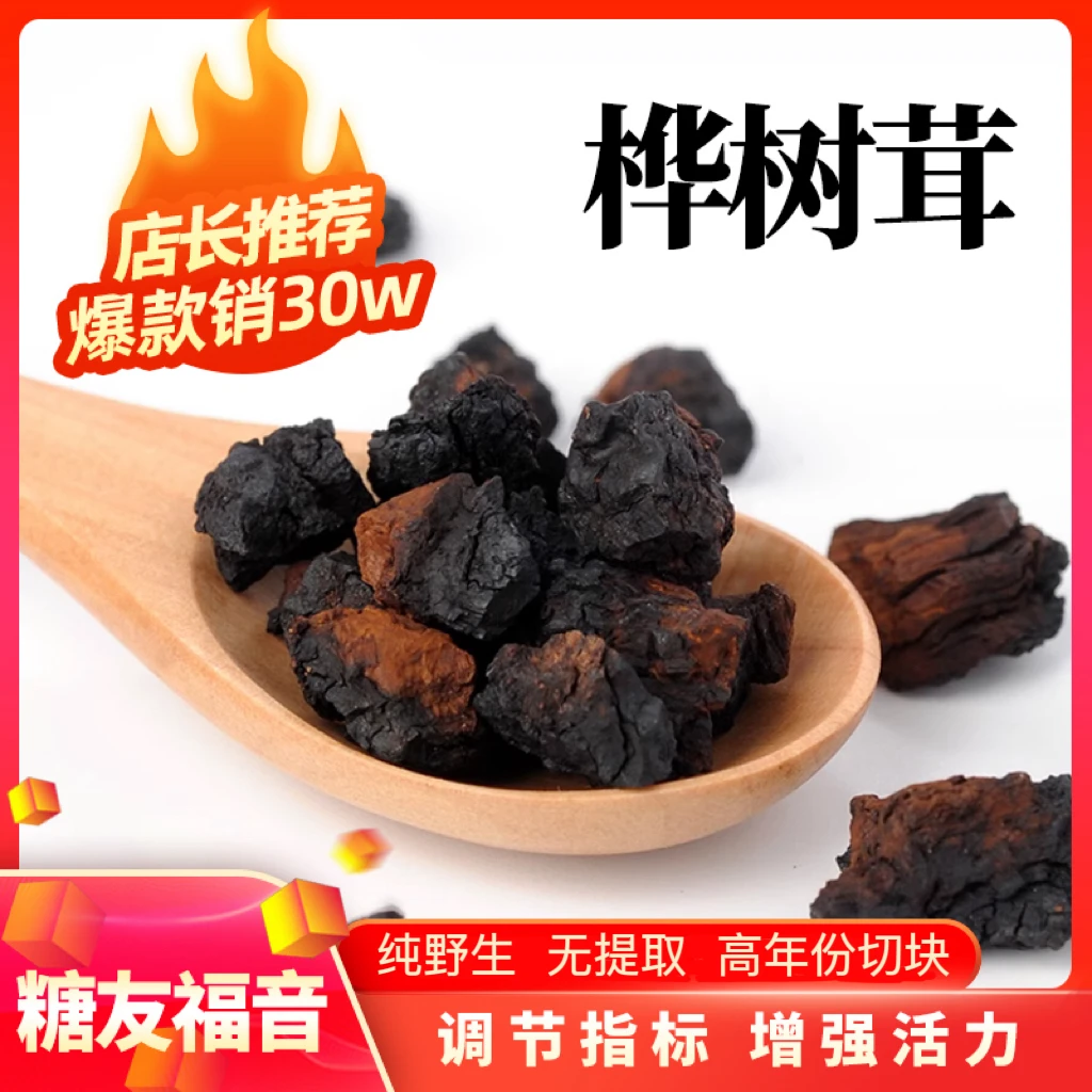 中俄边境 桦树茸切块 高年份白桦茸 泡水煮水喝 桦褐孔菌