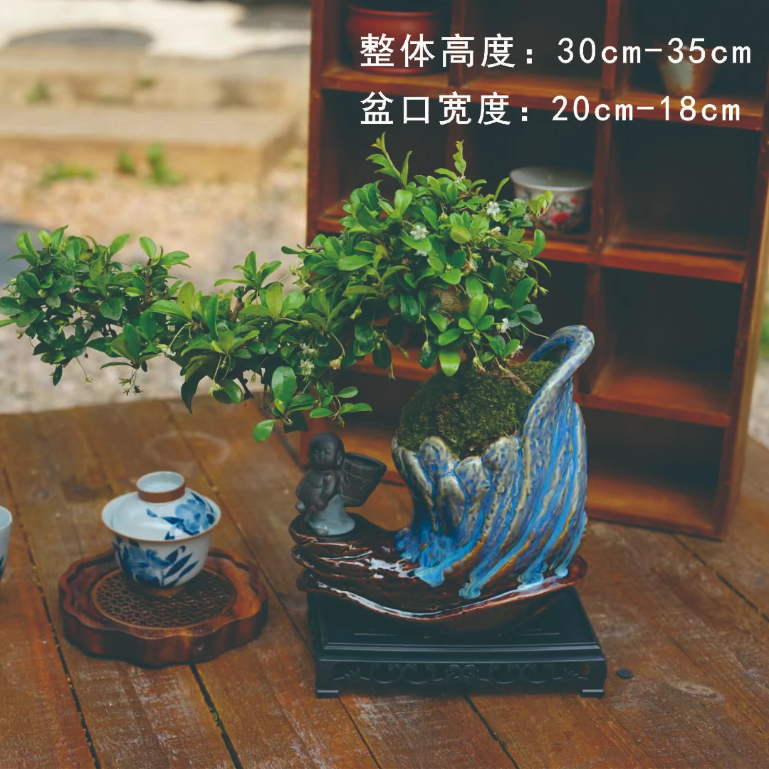 花香植｜提根老桩福建茶+需要茶宠小和尚+180亚克力小盆栽小型盆景