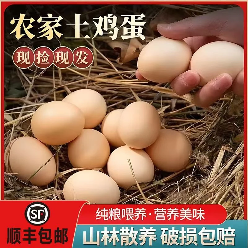 40枚正宗家里散养跑山鸡走地鸡土鸡蛋营养丰富坐月子大补五谷喂养