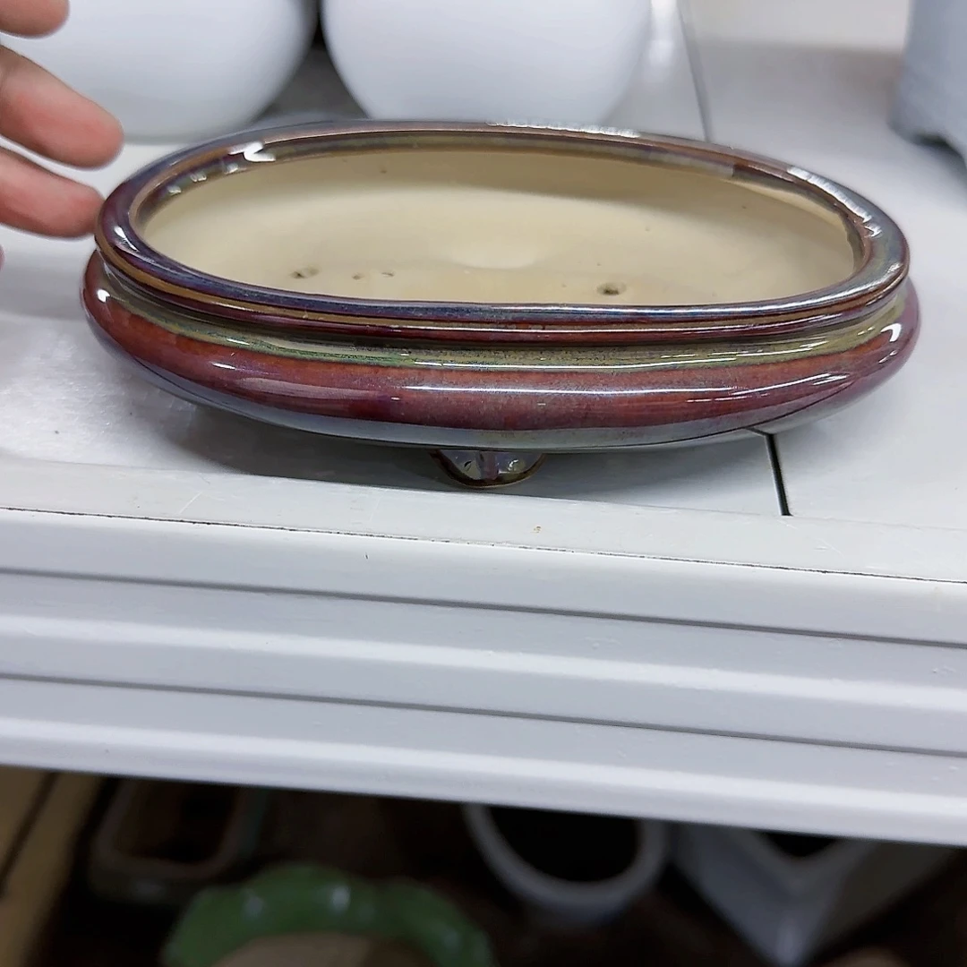 陶瓷花盆特价上新