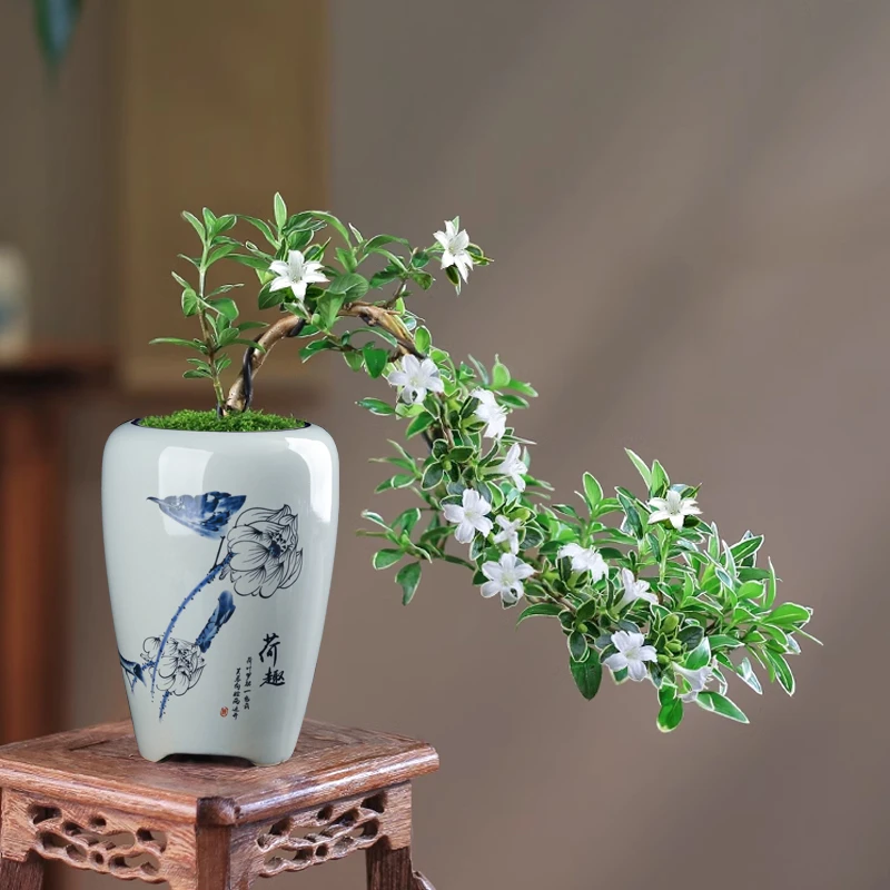 特价创意多肉小老桩绿植飘枝花盆悬崖青花瓷小签筒陶瓷家用带托盘