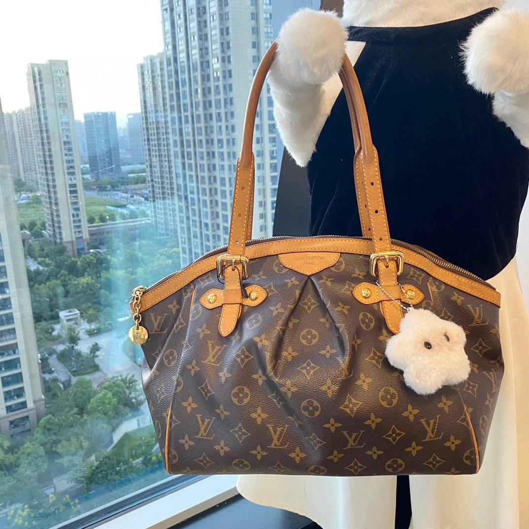 95新 LouisVuitton/路易威登 lv老花饺子包单肩包