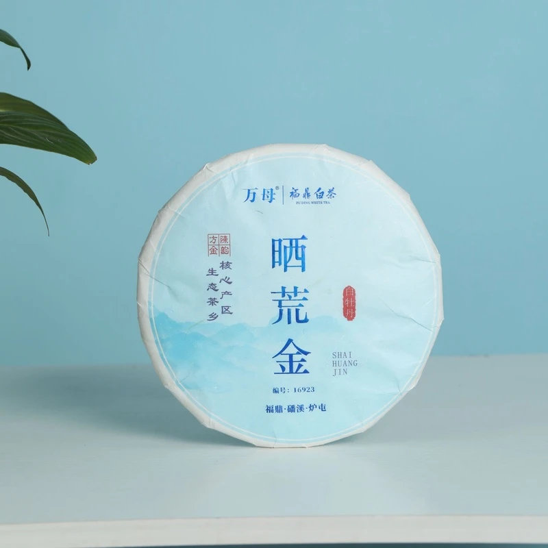 2022雪后白牡丹饼茶福鼎白茶磻溪核心产区