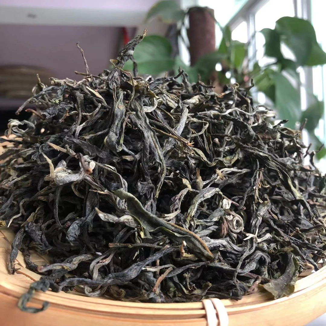 24年忙肺普洱生茶春春