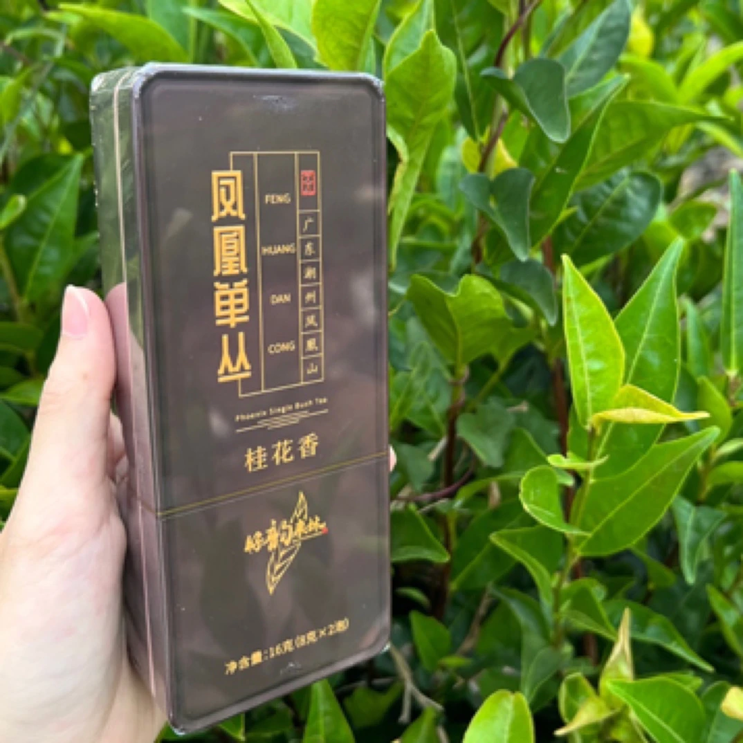 凤凰单丛桂花香分享泡装 中海拔 非遗传承人手工碳焙 浓香型耐泡