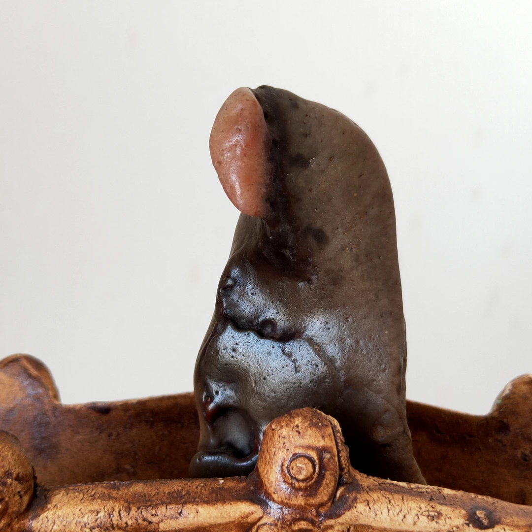 阿拉善 戈壁石  沙漠漆 小品石 老皮子原石  精美复古摆件 老物件