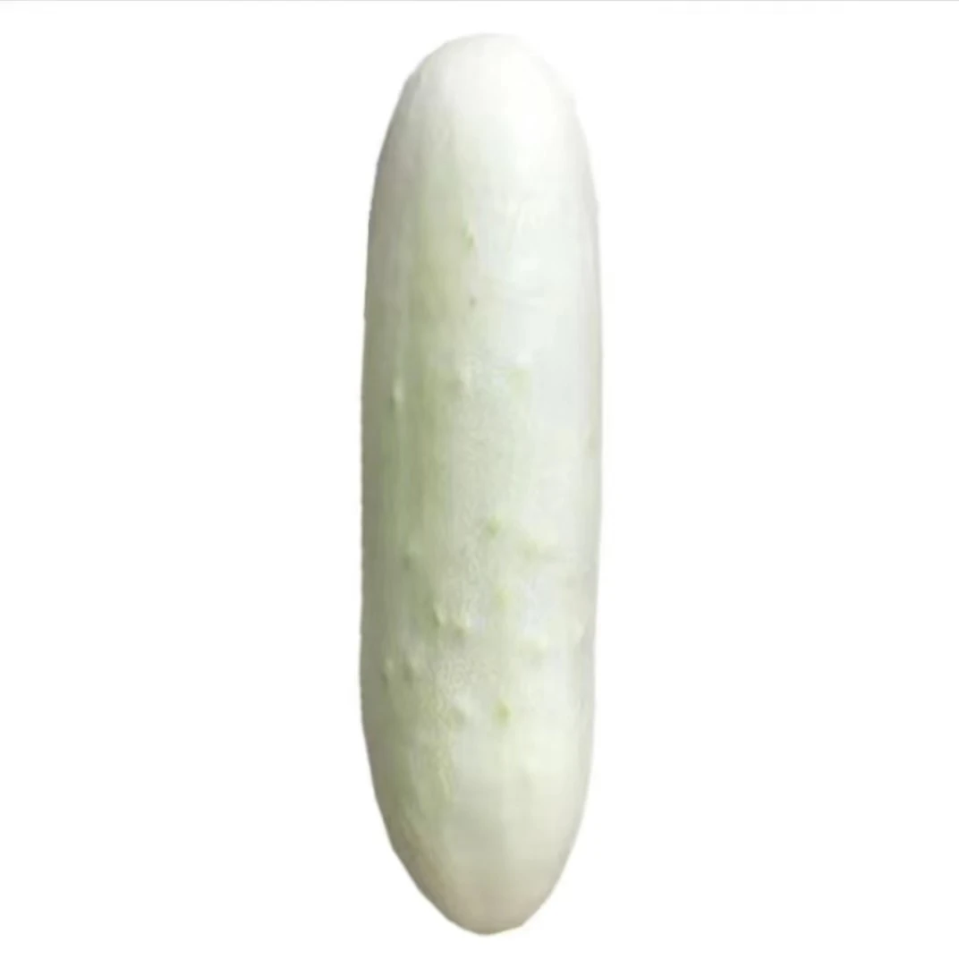湖北天门新鲜白玉黄瓜农家自种现摘现发3斤5斤包邮蔬菜食用农产品