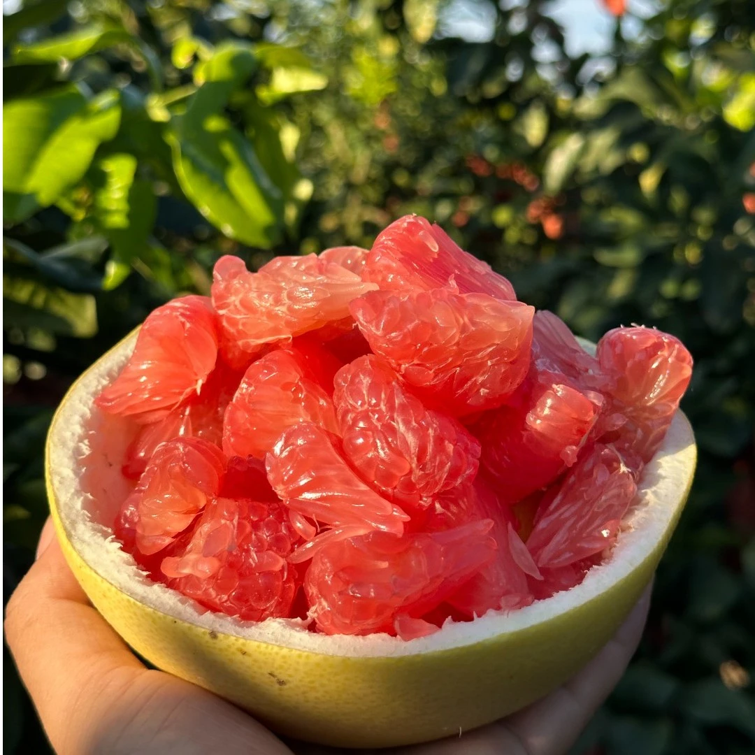【红心蜜柚】新鲜水果皮薄鲜嫩酸甜可口现摘现发产地直发