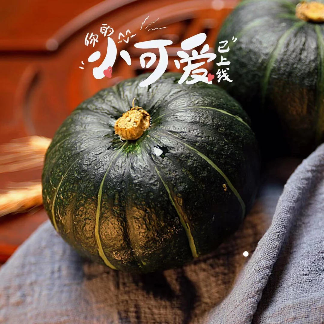 正宗贝贝南瓜粉糯香甜板栗味当季新鲜蔬菜代餐粗粮