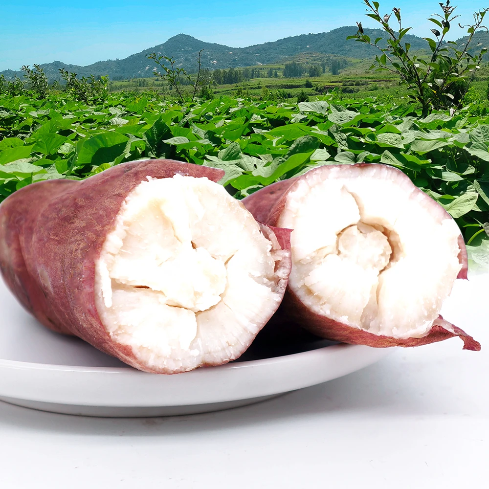 牛奶冰糖薯软糯香甜
