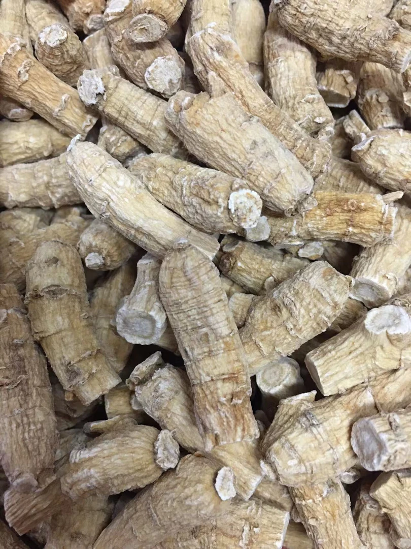 一级新鲜西洋参粒