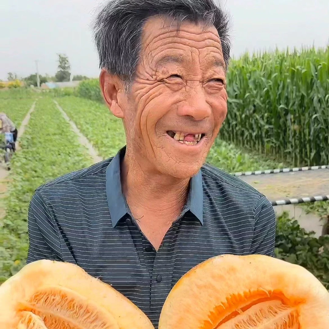 【整箱10斤银蒂+黄河蜜】甘肃民勤沙漠蜜瓜软糯香甜而不腻口口蜜汁