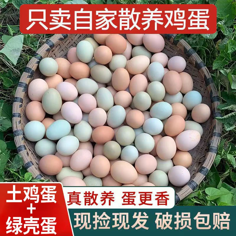 【三妹补贴】买40枚土鸡蛋送10枚乌鸡蛋现捡现发共40枚能给好评在拍