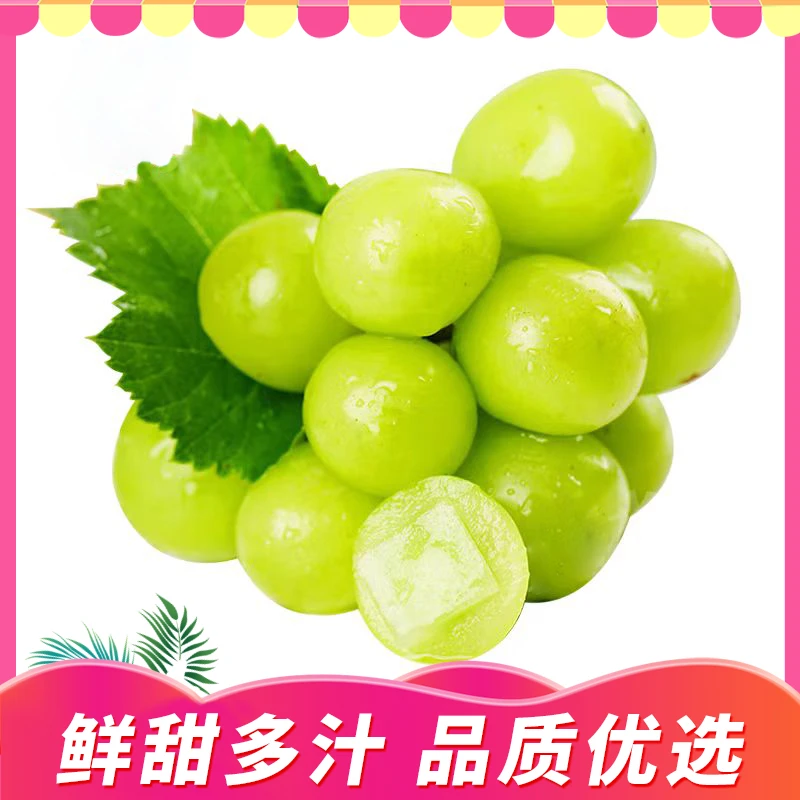 【萄你喜欢】精选晴王葡萄 阳光玫瑰 脆甜多汁山东省