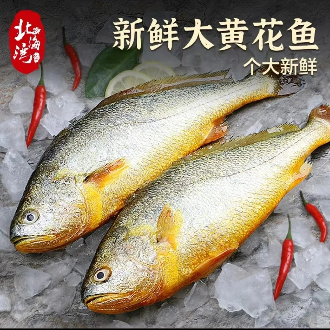 北海新鲜生态黄花鱼速冻锁鲜顺丰发货