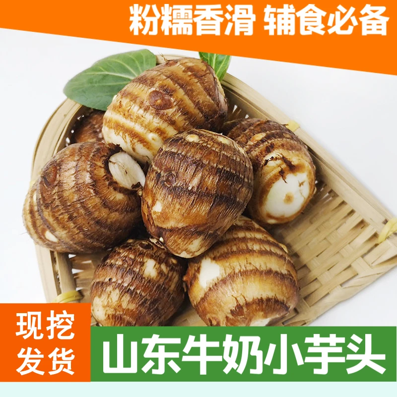 山东牛奶小芋头沙土地现挖新鲜毛芋头芋艿整箱农家自种香芋