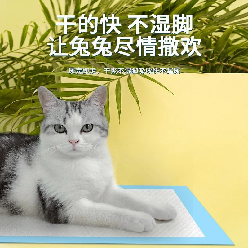 狗狗尿垫猫咪生产褥垫吸水卫生垫一次性护理垫竹炭除臭宠物用品