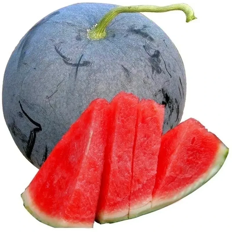 【黑皮西瓜】西瓜种子适应性强四季种植西瓜种子甜脆夏季水果优质高