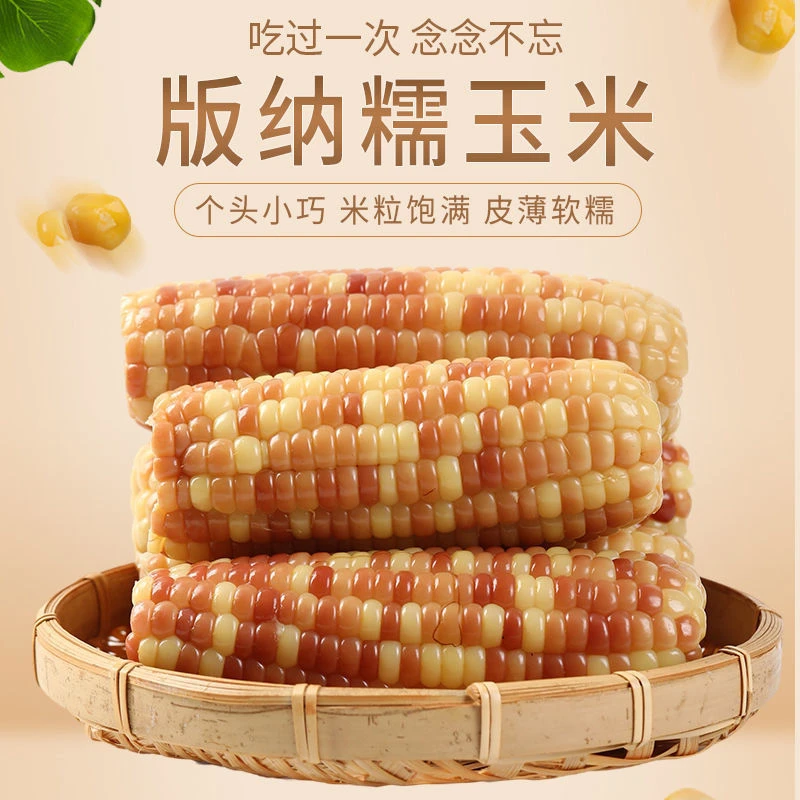 西双版纳老品种花糯小玉米2斤/4斤/9斤香糯低脂低卡粗粮辅食玉米
