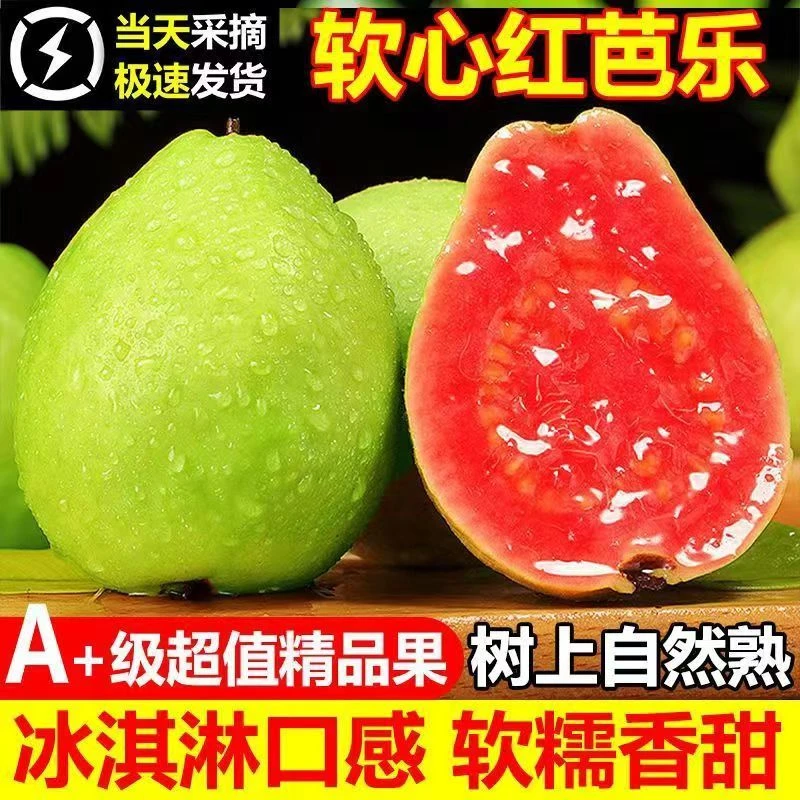 冰激凌软芭乐广西软糯番石榴奶油芭乐白心芭乐