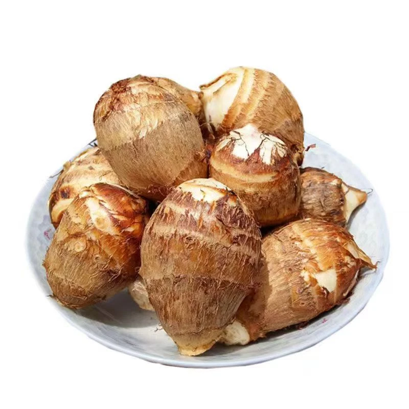 沂蒙山正宗牛奶毛芋头24年源头产地新鲜直发粉糯丝滑