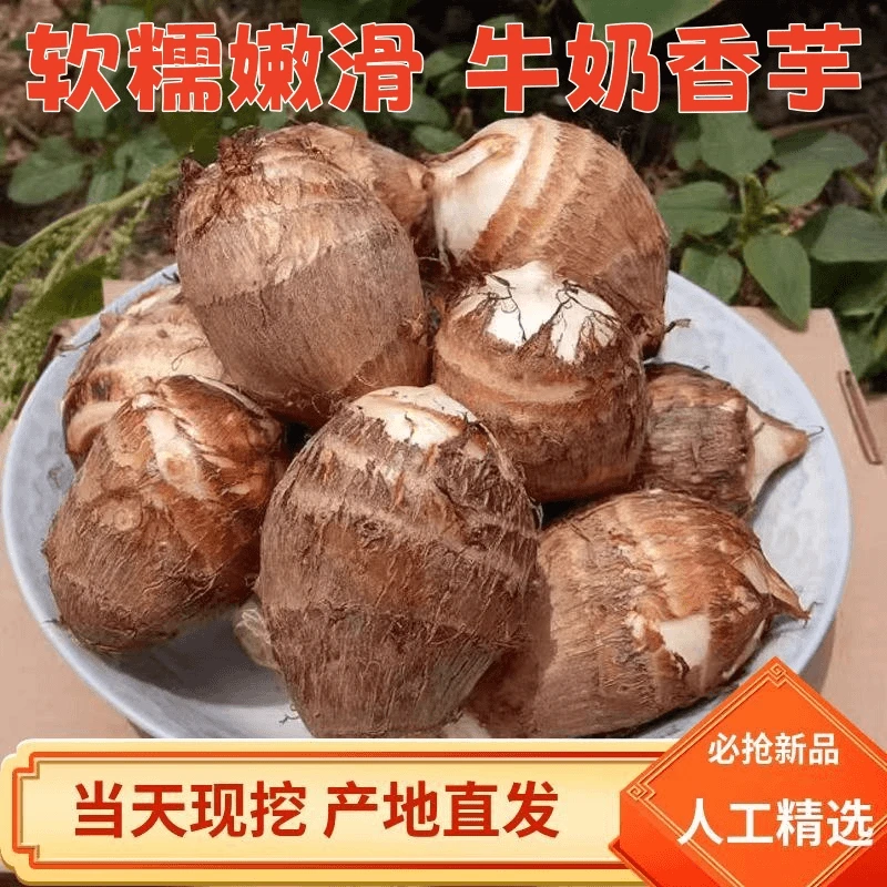 沂蒙山现挖牛奶香芋毛芋头软糯嫩滑农家自种产地直发坏果包赔