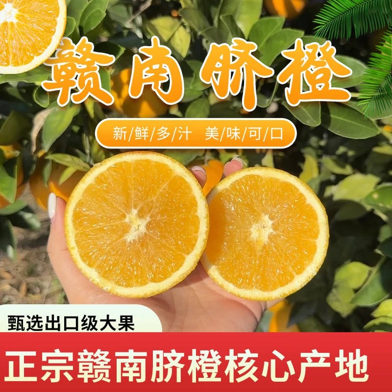 江西赣南脐橙新鲜产地直发现摘现发