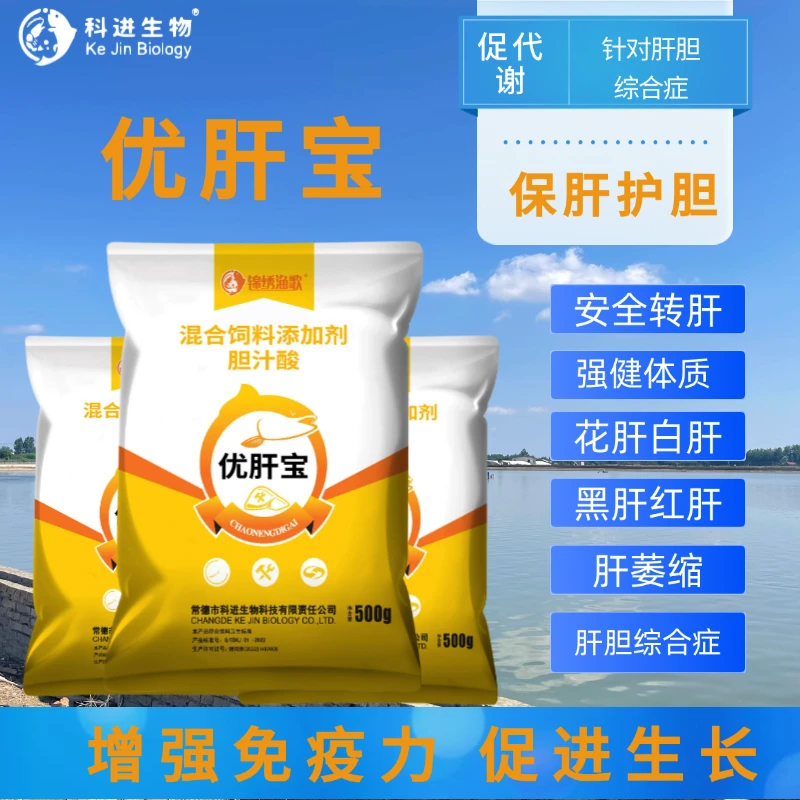锦绣渔歌【优肝宝】胆汁酸牛磺酸促代谢保肝利胆肝胆视频综合