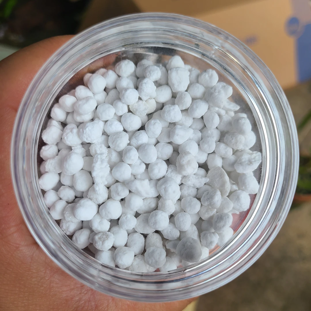 置顶专用大粒魔肥，仅粉丝专享，500克分装。