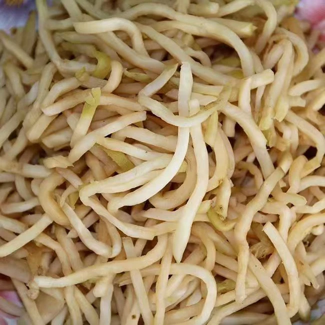 农家大头菜丝蔬菜山货土货农产品MJ