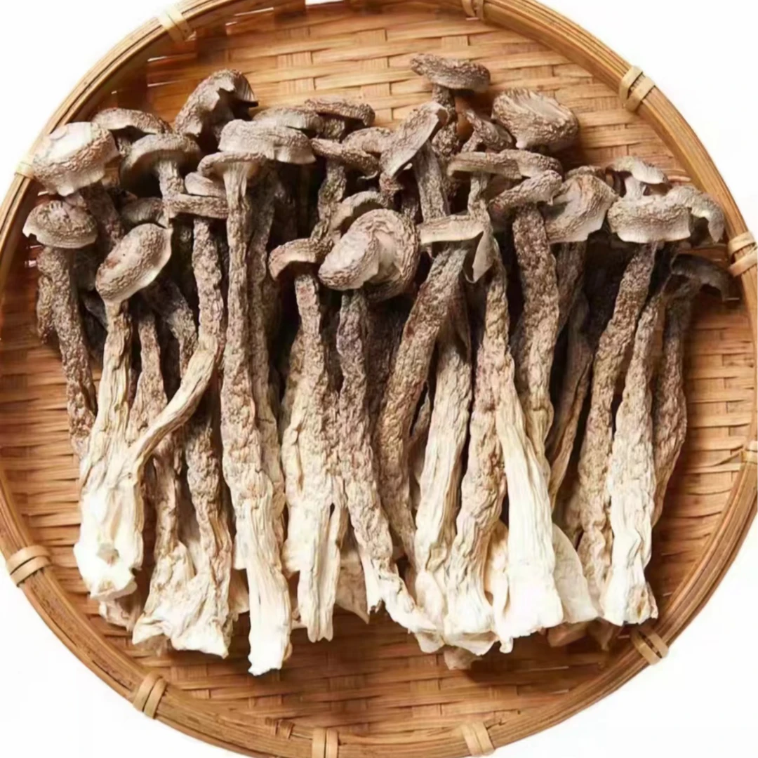 【半斤装起】农家鹿茸菇蔬菜山货土货农产品SC
