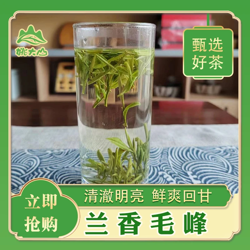 【姚大山】兰香毛峰 芽叶肥嫩 兰香悠长250g罐装原生态品质好茶