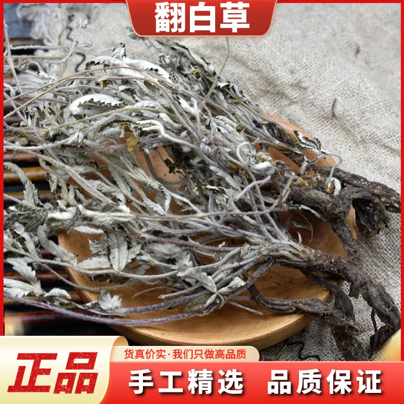 翻白草野生整颗翻白草正品干货新鲜番白草带根250g/500g非益母草