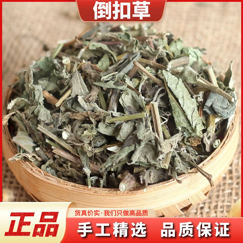 倒扣草野生晒干牛舌大黄新货土牛膝倒钩草散装250g-500g非金钱草