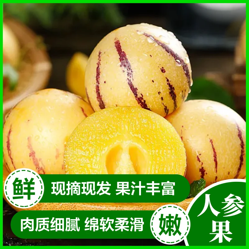 云南金平树上自然熟人参果清甜多汁
