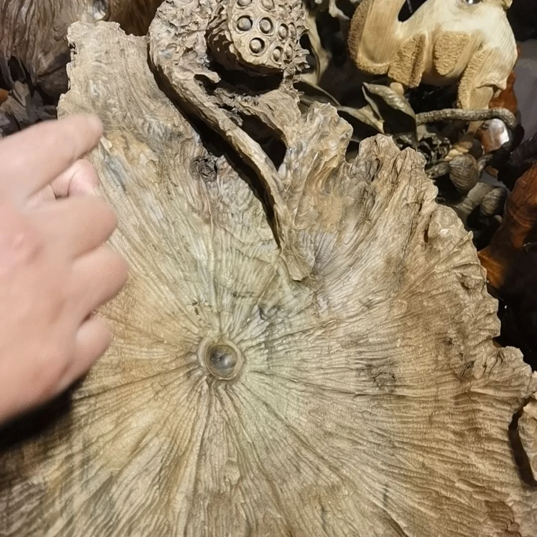 【闪购商品】香木迷**踪