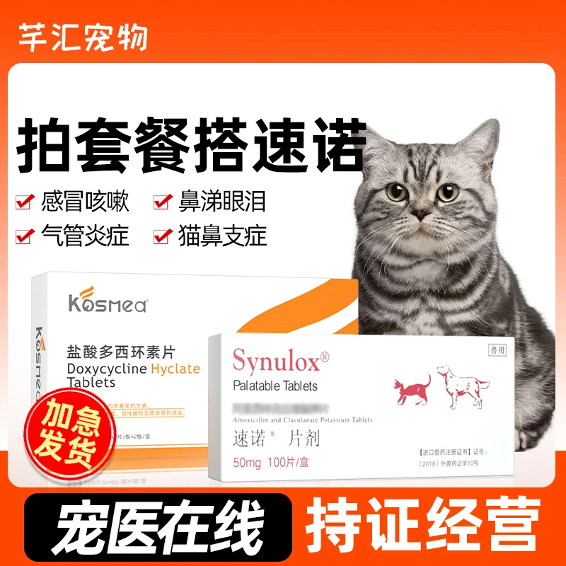 卜尼速诺消炎片猫鼻支专用药多西环素狗狗猫咪感冒流鼻涕猫咪口炎
