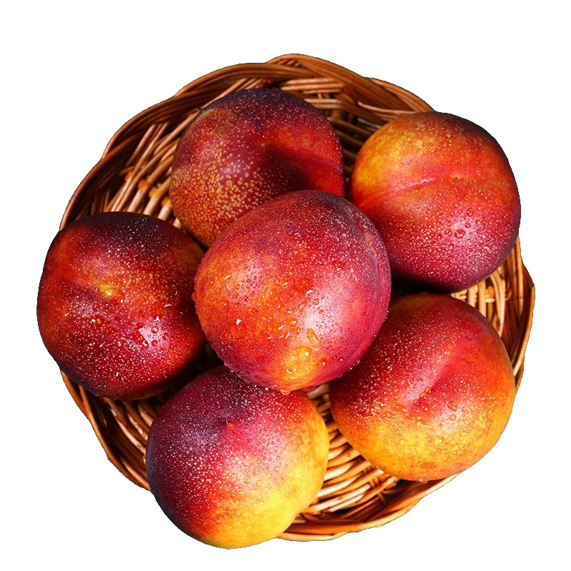 【现摘现发】 黄心油桃 脆甜黄肉大桃精选大果整箱应季桃子新鲜水果