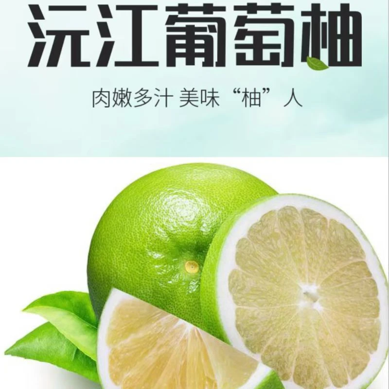 云南 沅江葡萄柚2000g 无农残 无药残 当天现摘 5-6个