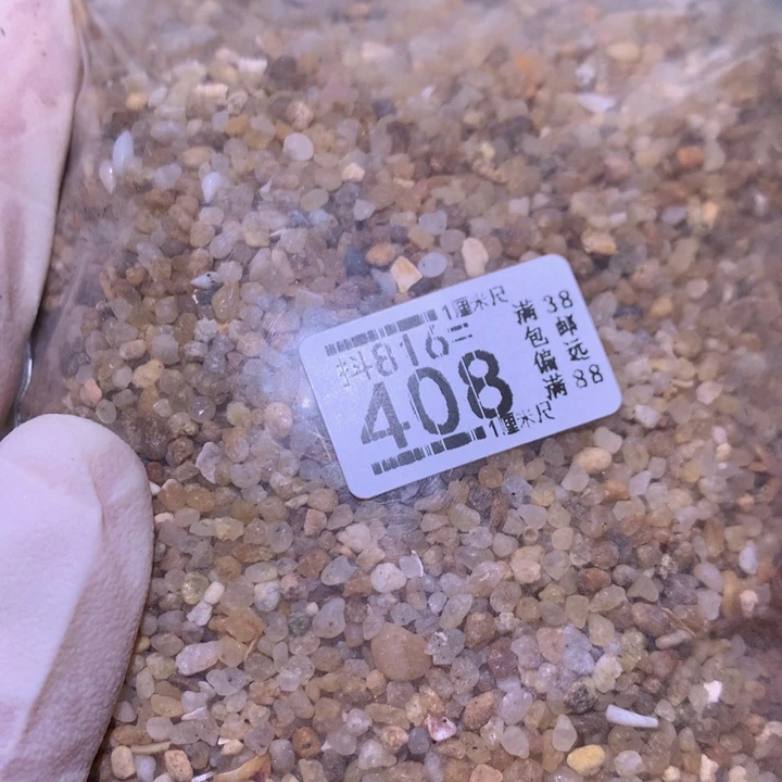精品生石花816.408