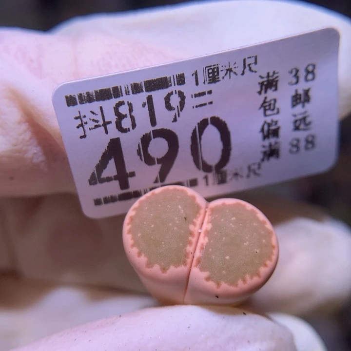 精品生石819.490