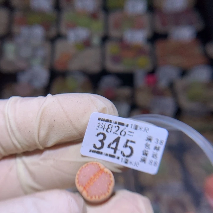 长*精品生石花826.345