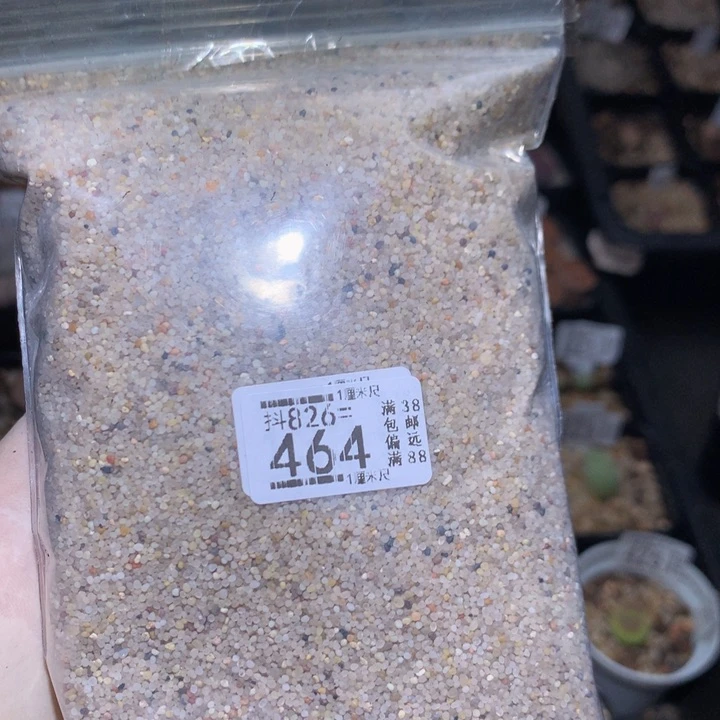 好好看的生石花826.464